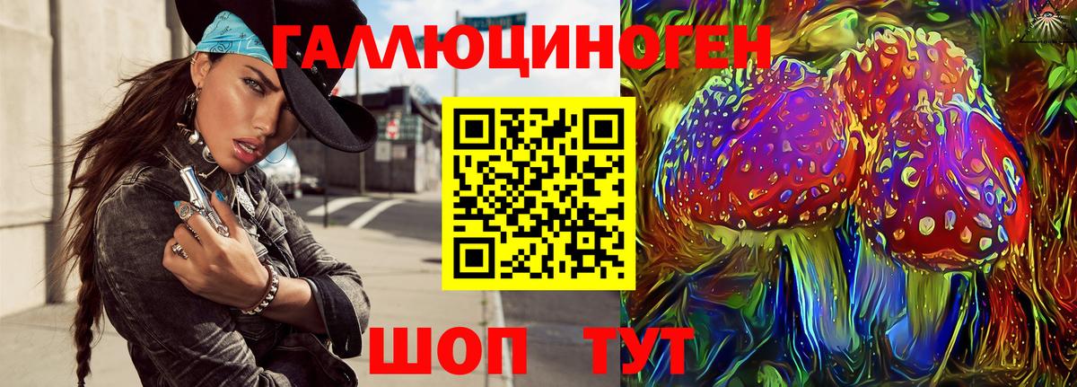 Галлюциногенные грибы прущие грибы Верхняя Пышма